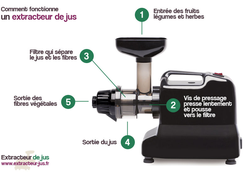 Comment fonctionne un extracteur de jus (guide utilisation) ?