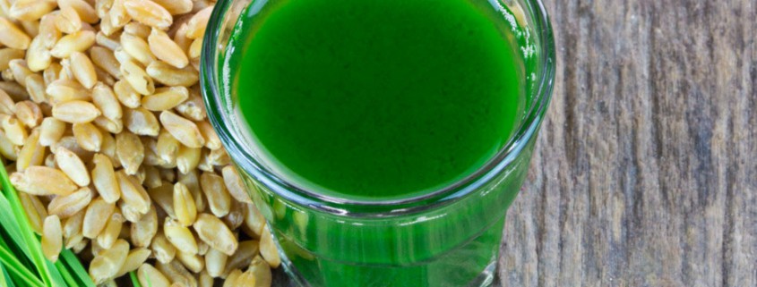 Jus d'herbe de blé